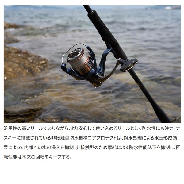 26 ナスキー